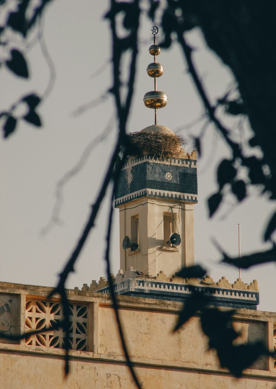 Location voiture Oujda