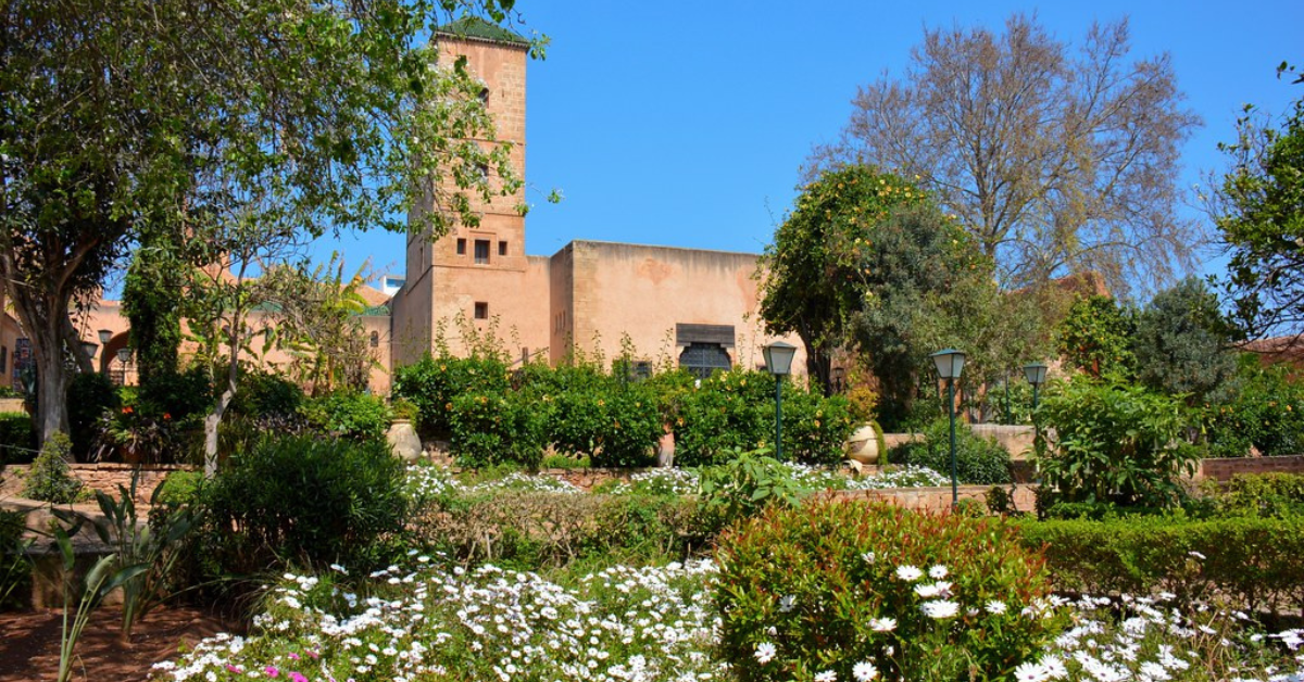 Sans titre - 2023-04-11T155913.774