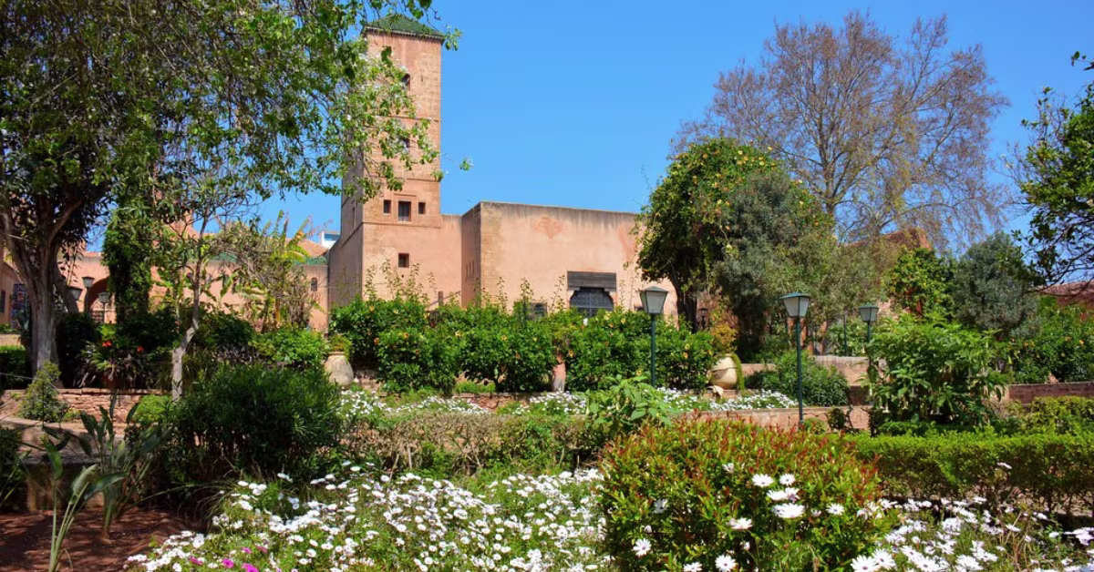 Sans titre - 2023-04-11T155913.774