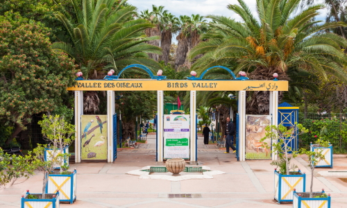 vallée des oiseaux à agadir