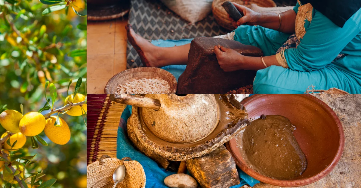 L'arganier et l'huile d'argan au Maroc