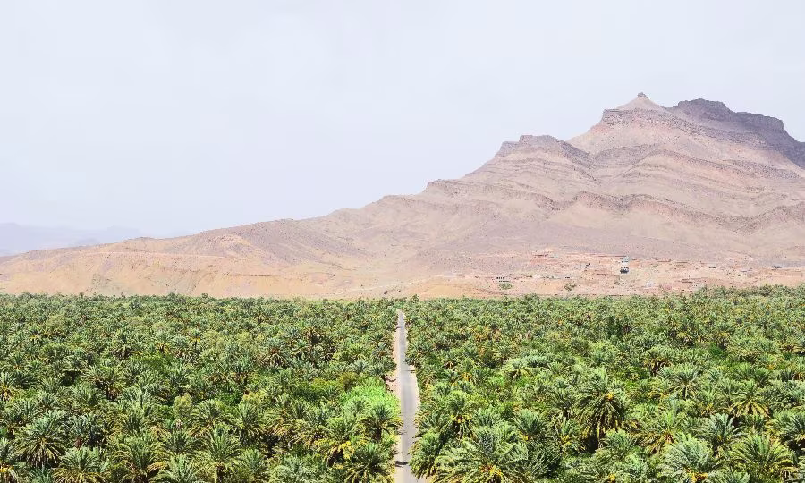 rent a car ouarzazate