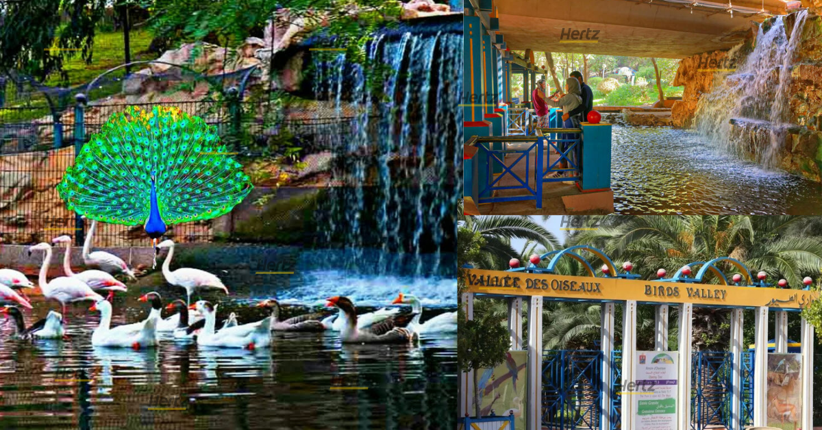 vallée des oiseaux agadir