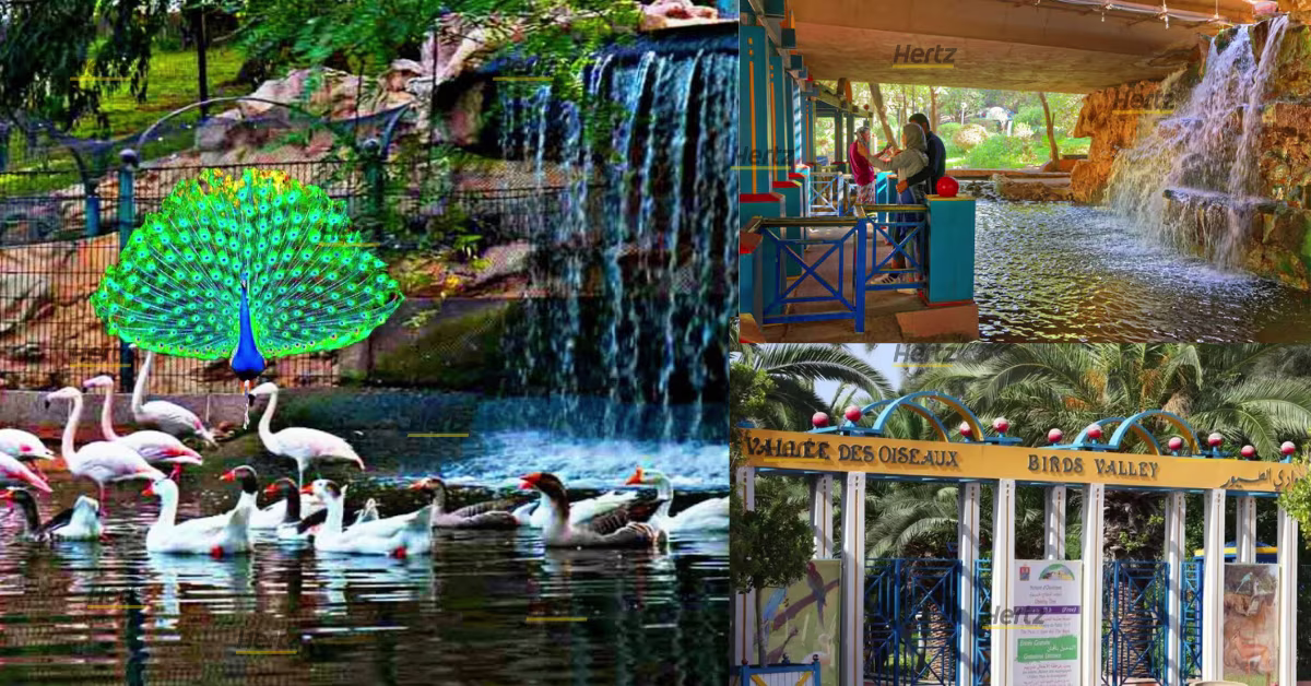 vallée des oiseaux agadir