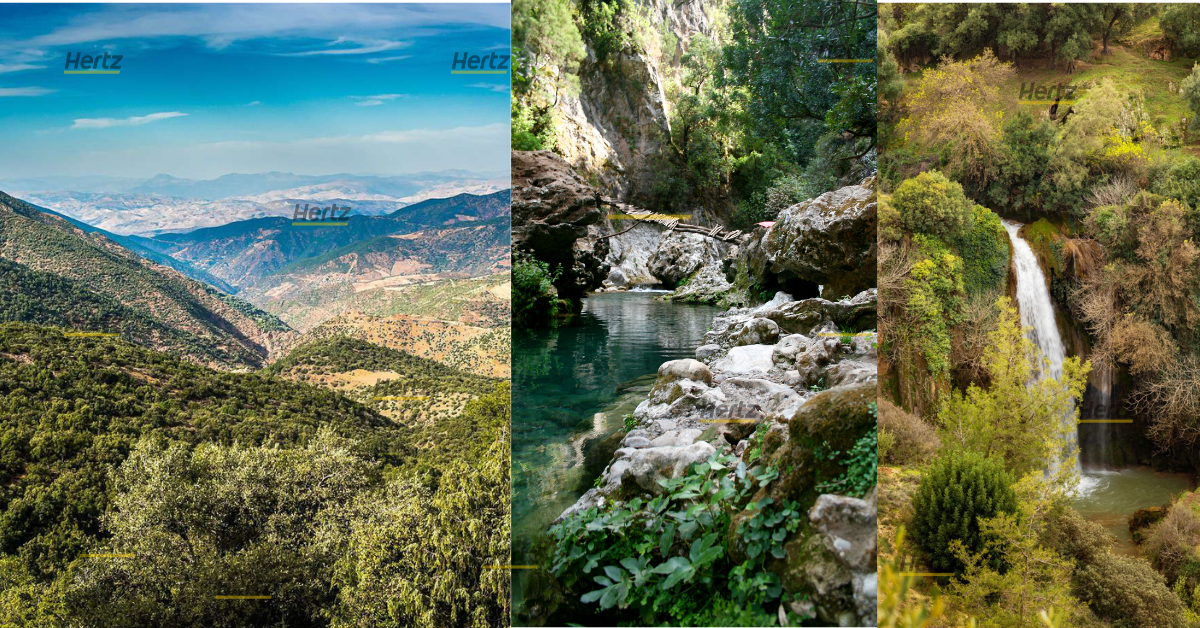 photo parc national tazekka