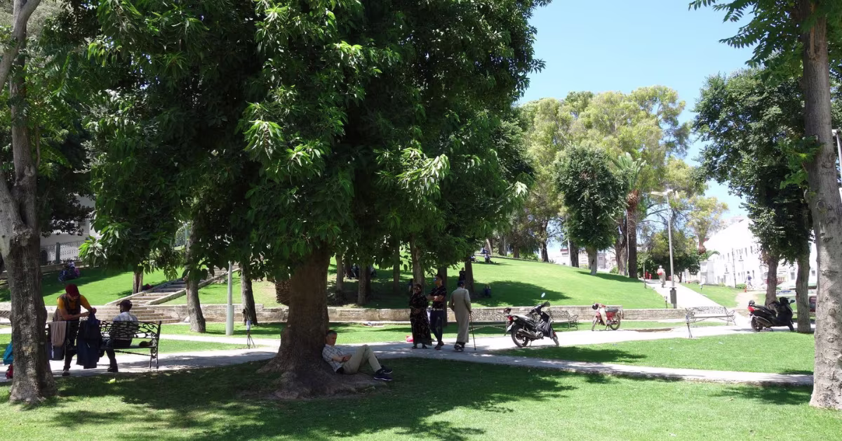 Mendoubia garden
