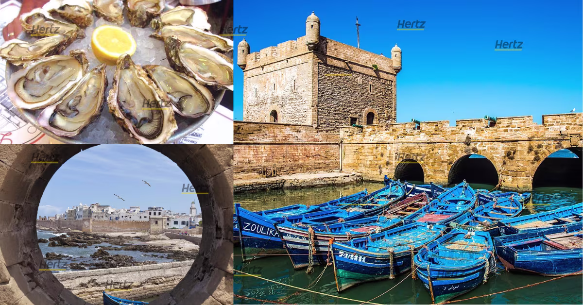 photo du port d'essaouira