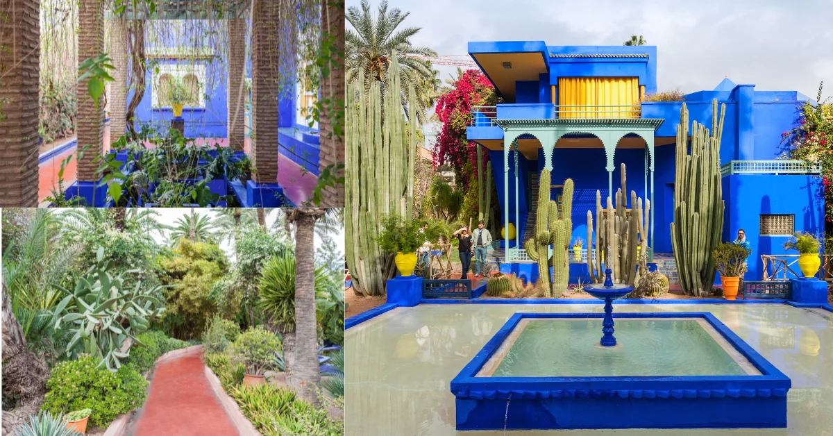 jardin majorelle photo