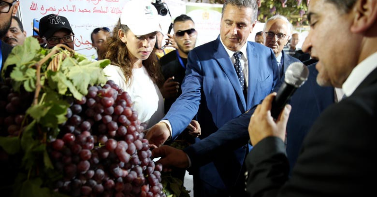 moussem des raisins photo