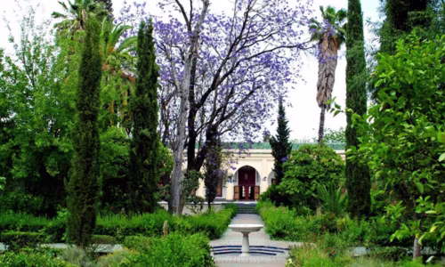 musée dar batha