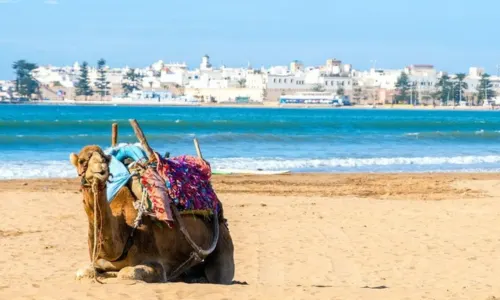 La plage de Essaouira