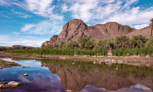 Oasis de Fint à Ouarzazate