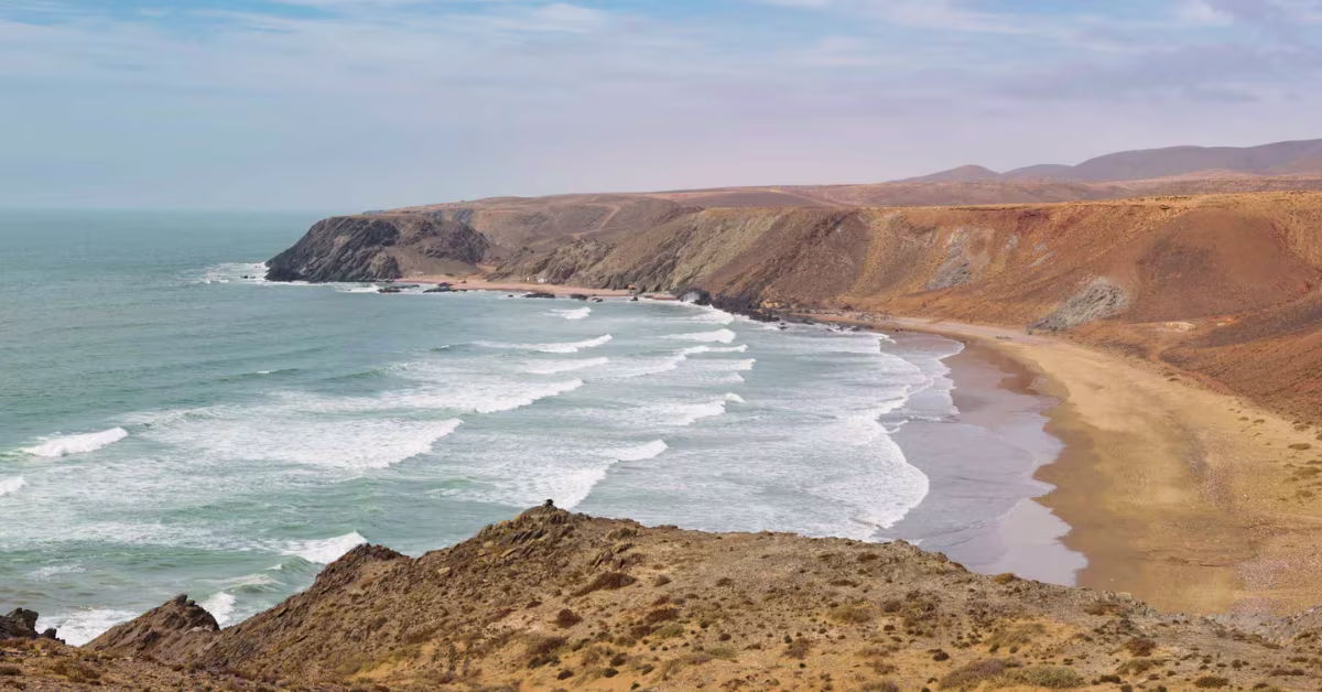 Le Parc National du Souss Massa : Une importante réserve naturelle non loin d'Agadir