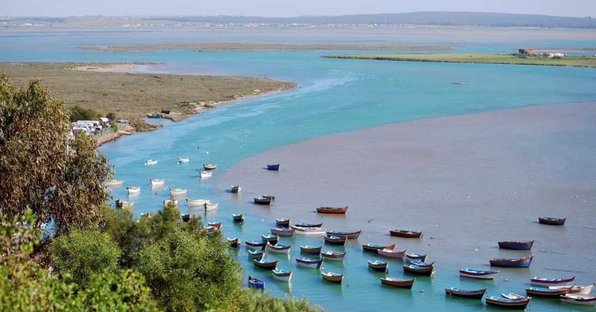 Sans titre - 2023-04-10T112524.957