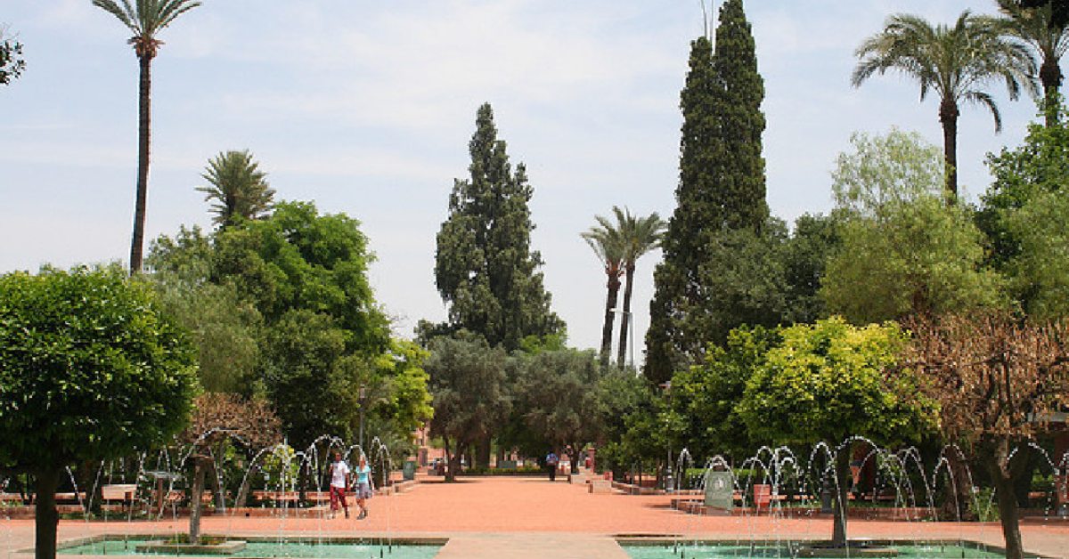 Le Cyber Parc de Marrakech : De la nature et du wifi