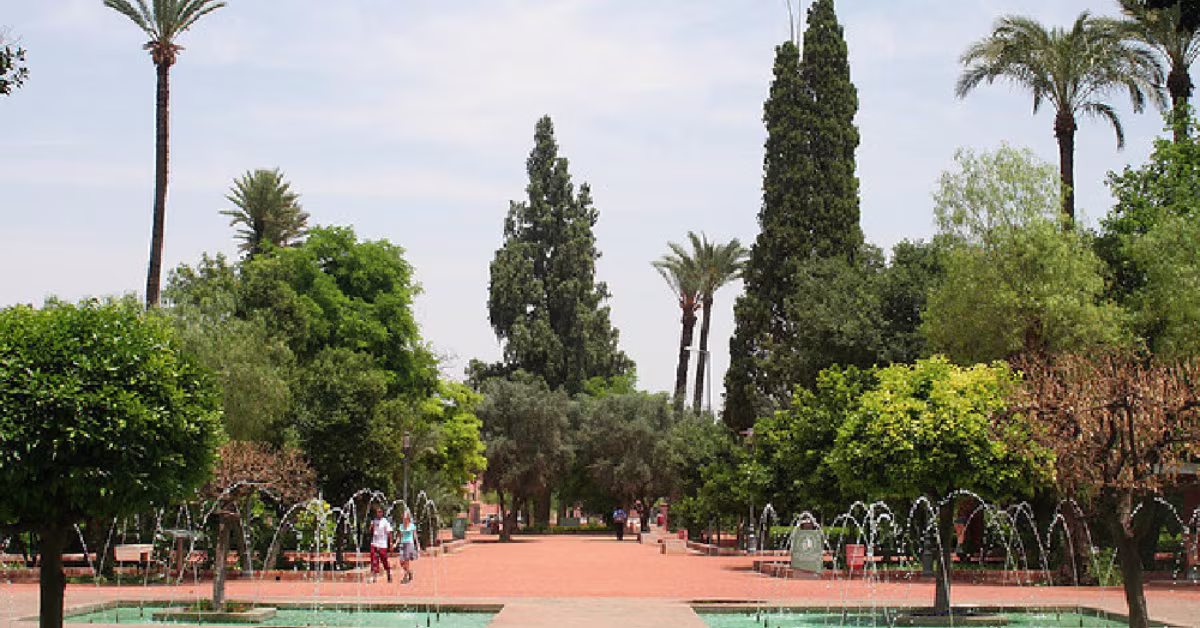 Le Cyber Parc de Marrakech : De la nature et du wifi