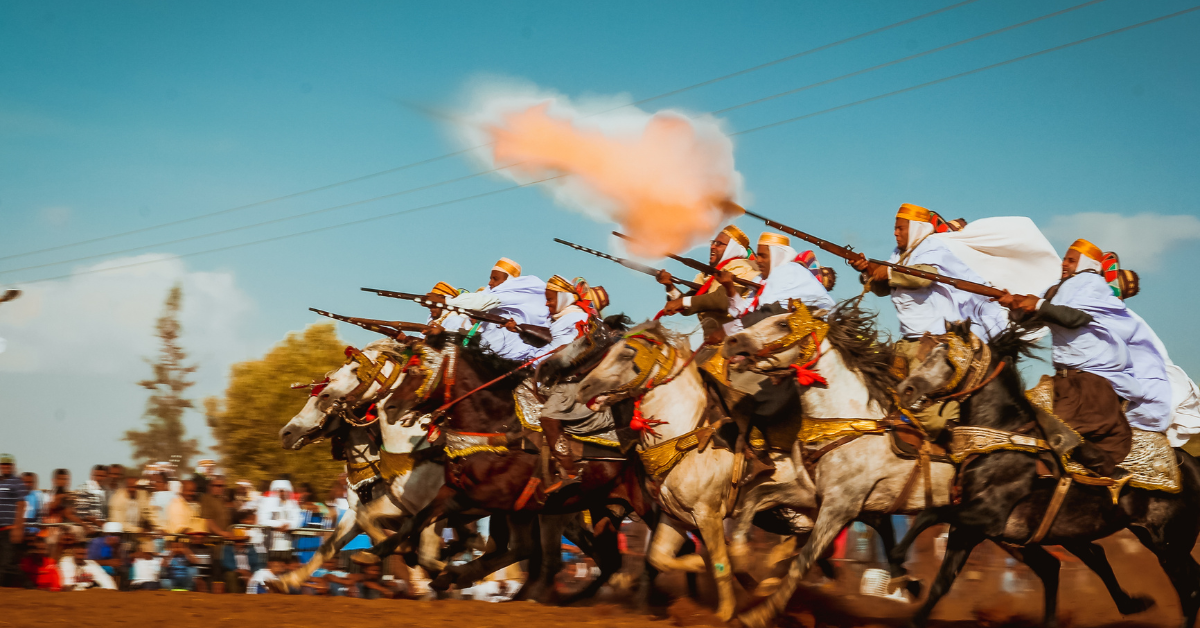 Les chevaux et la fantasia photo