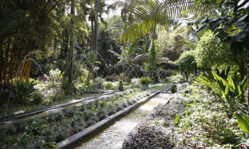 Exotic Gardens of Bouknadel