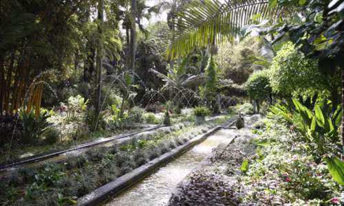 Exotic Gardens of Bouknadel