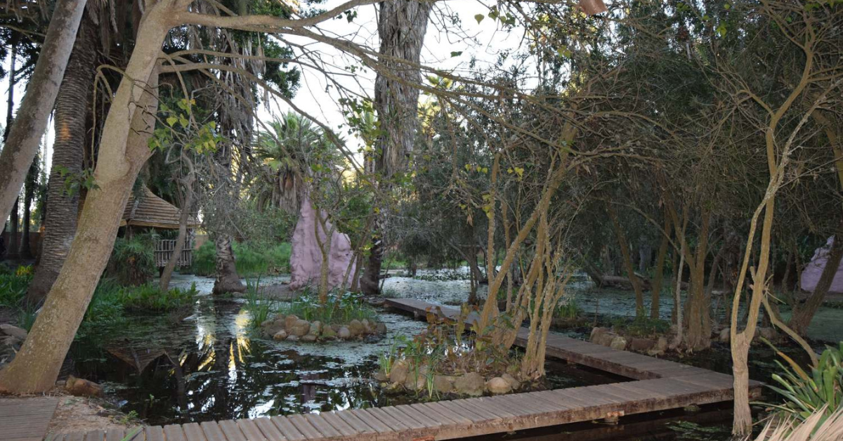 Les Jardins exotiques de Bouknadel
