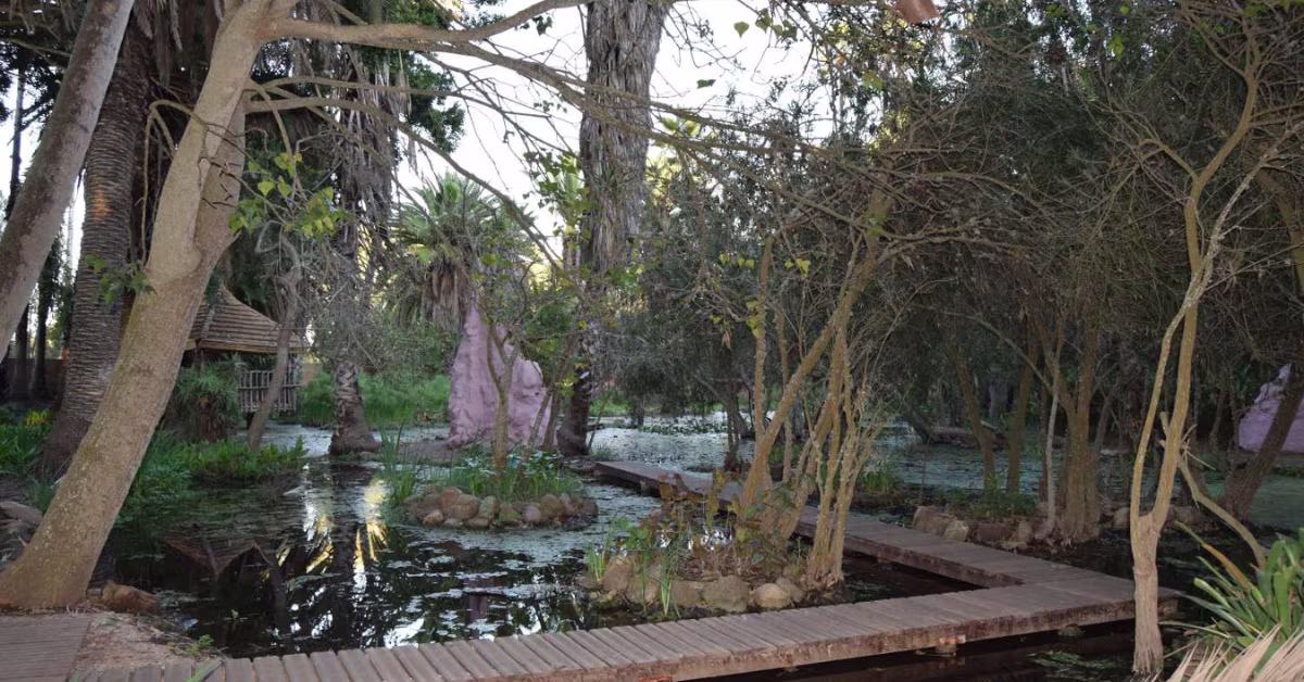 Les Jardins exotiques de Bouknadel