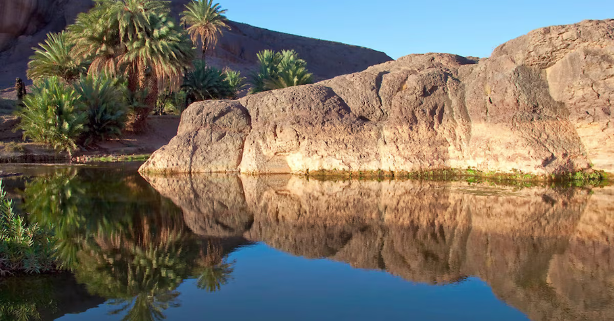 Oasis de Fint à Ouarzazate