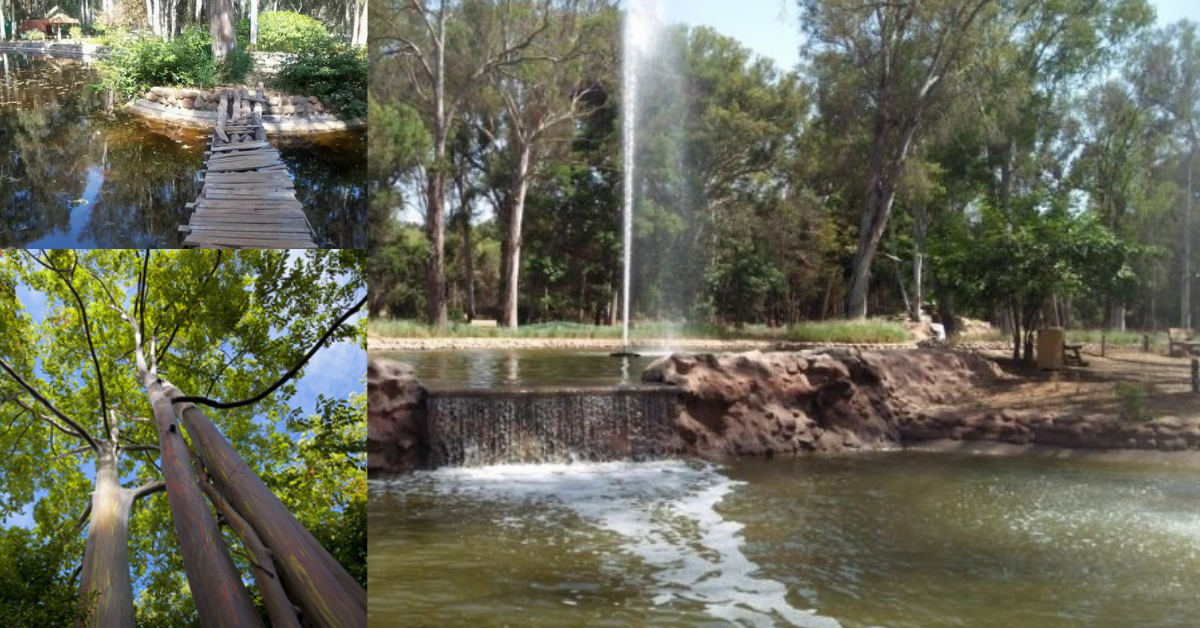 Sans titre - 2023-04-10T110141.011