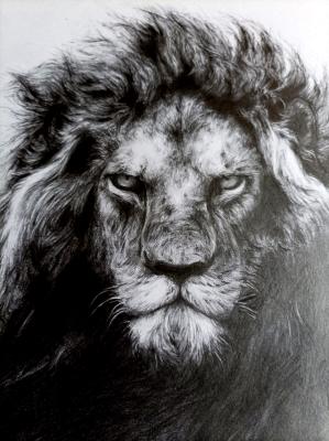 The Lion (2022), grafit