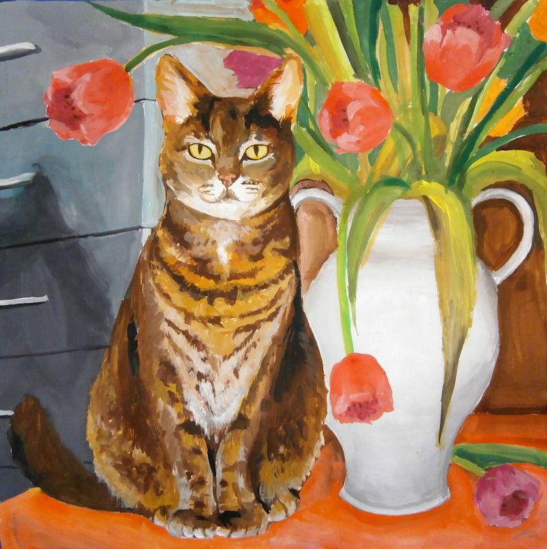 Котешка история