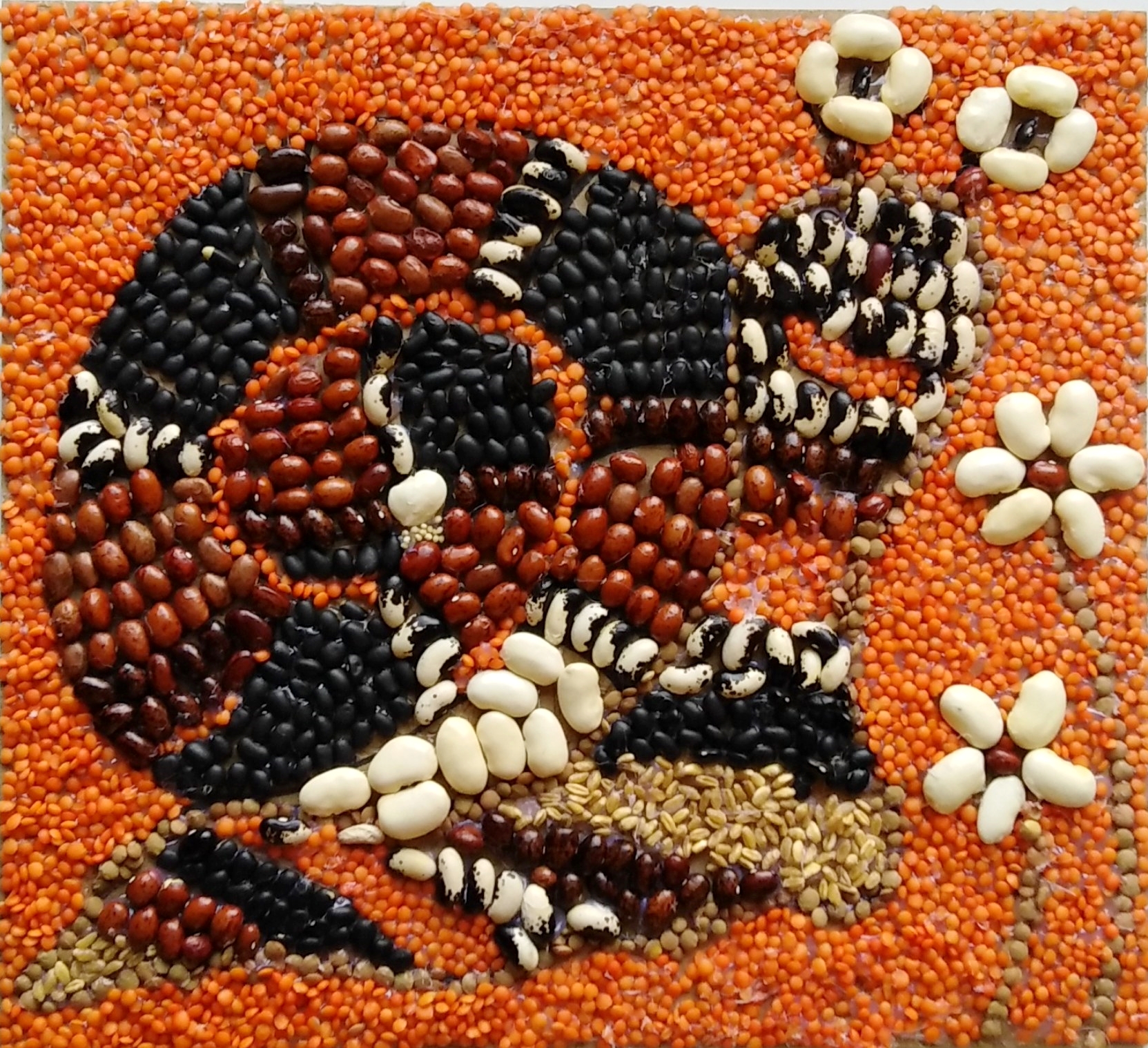 "Охльо-Бохльо" 