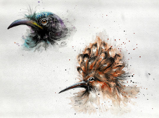 Birds (2021), akvarel
