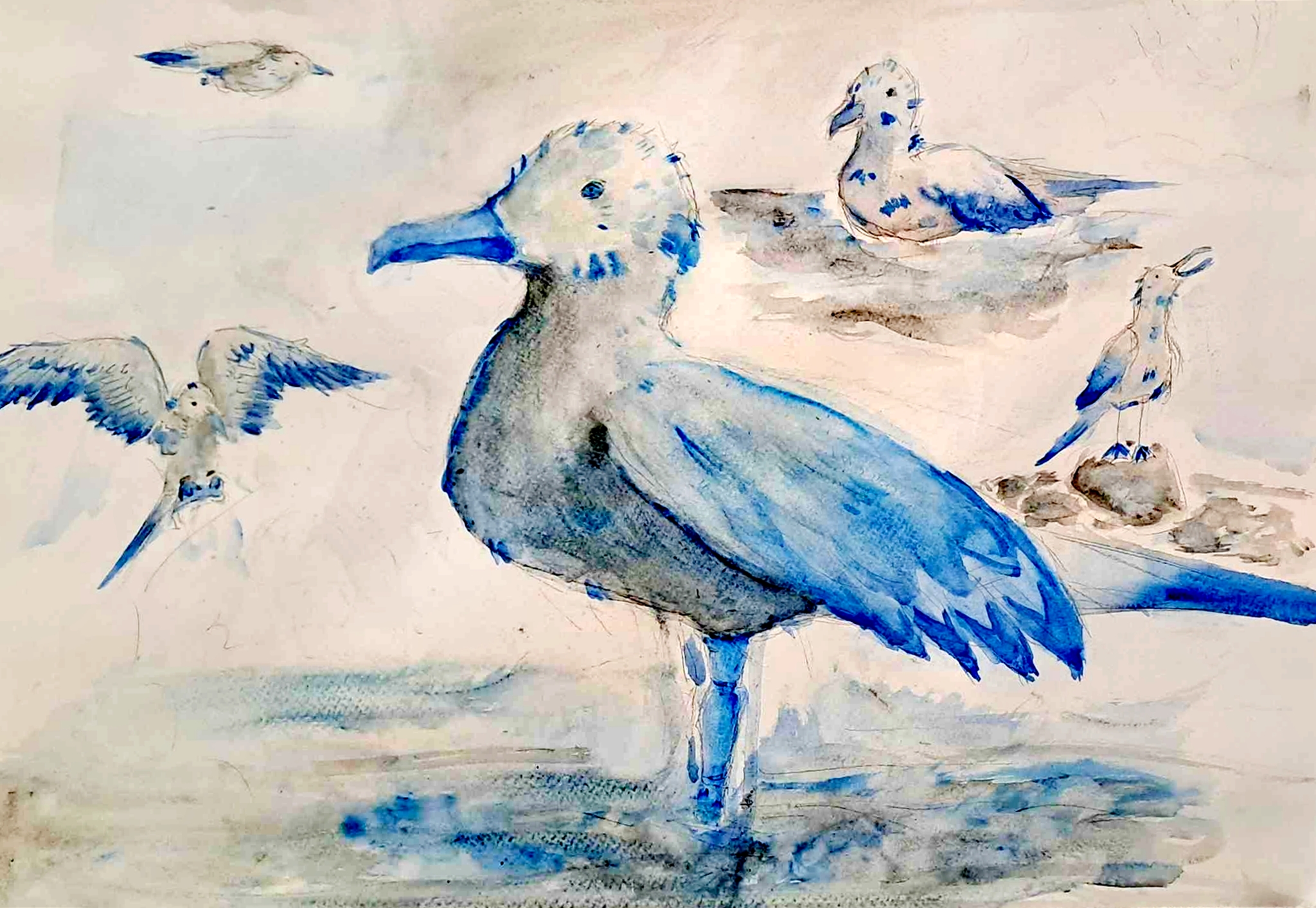 "Полет". Рая Енева, 12 г.  