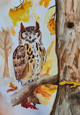 Кристияна Гечкова, 12