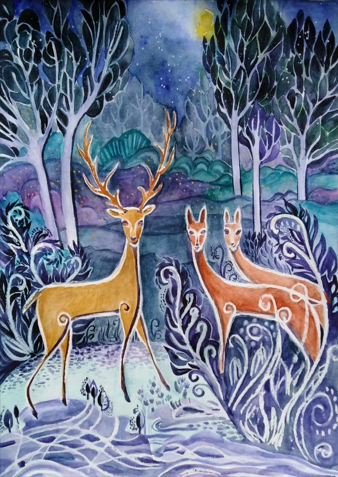 НК Вълшебството на сезоните 2020, Астрономическа обсерватория, Младежки дом, Хасково, Второ място