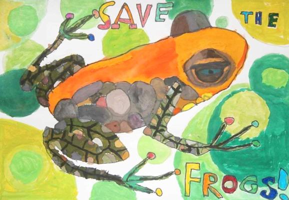 Save the Frogs!