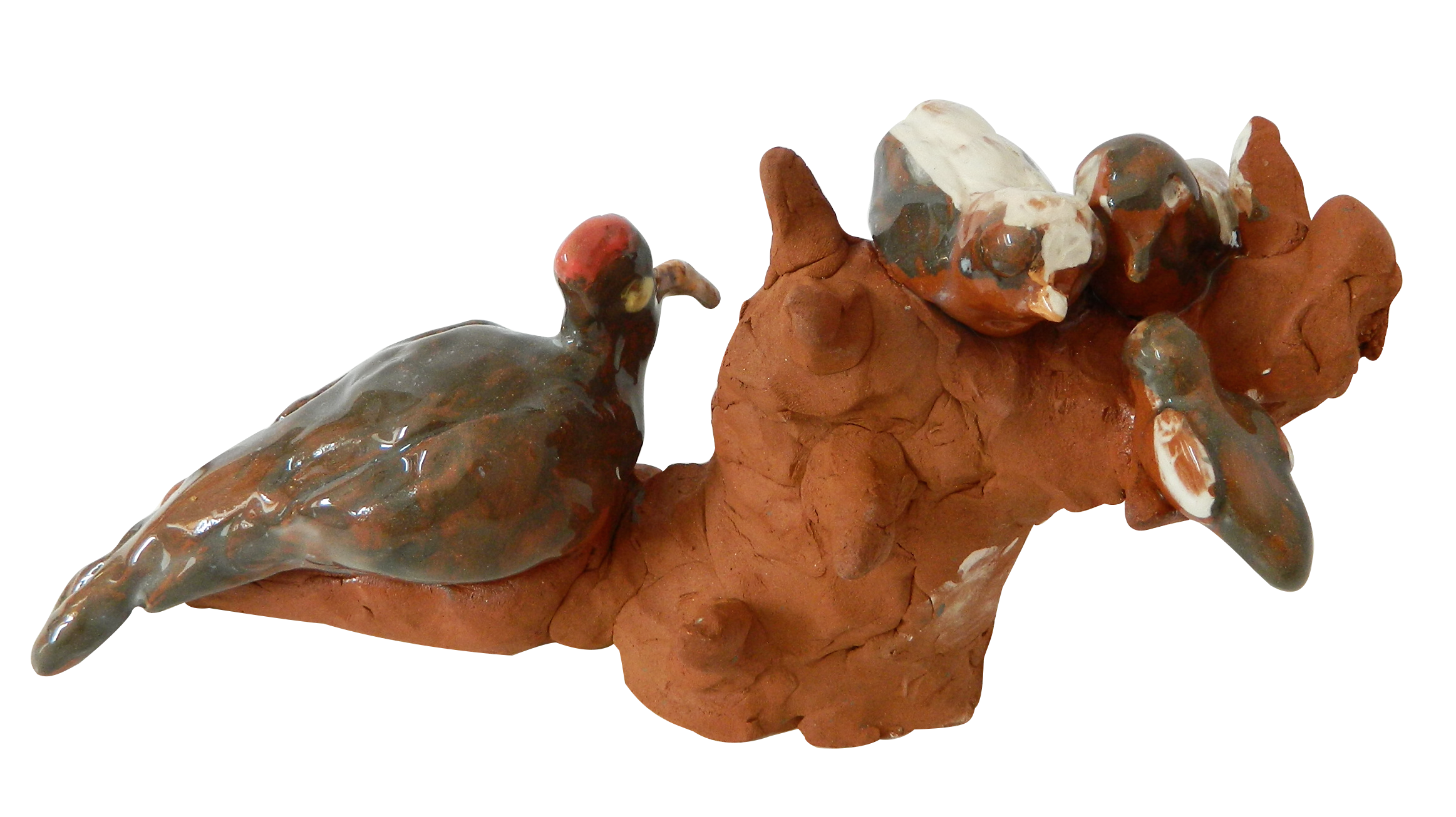 Семейство-птички