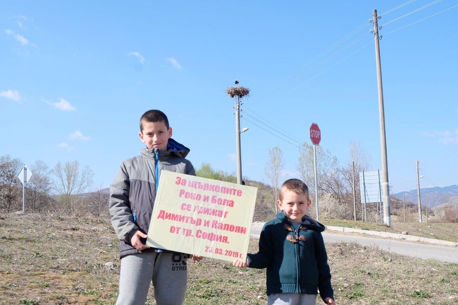 Димитър и Калоян - осиновители на щъркелово гнездо