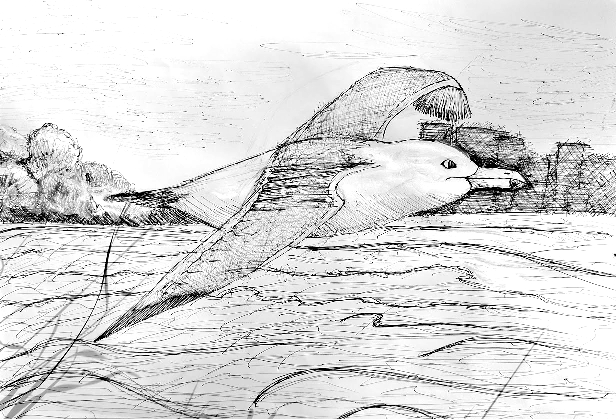 Ина Спасова, 13 г.