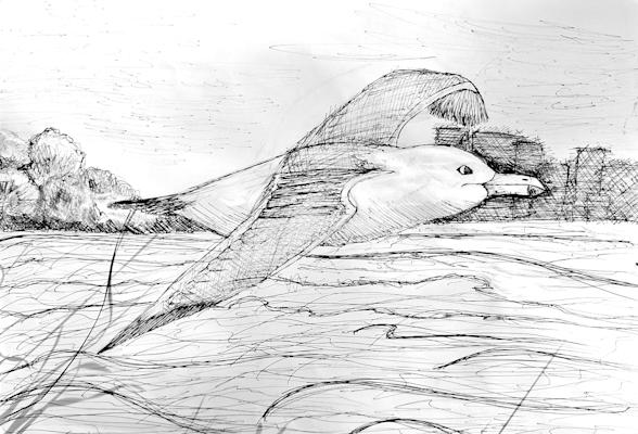 Ина Спасова, 13 г.