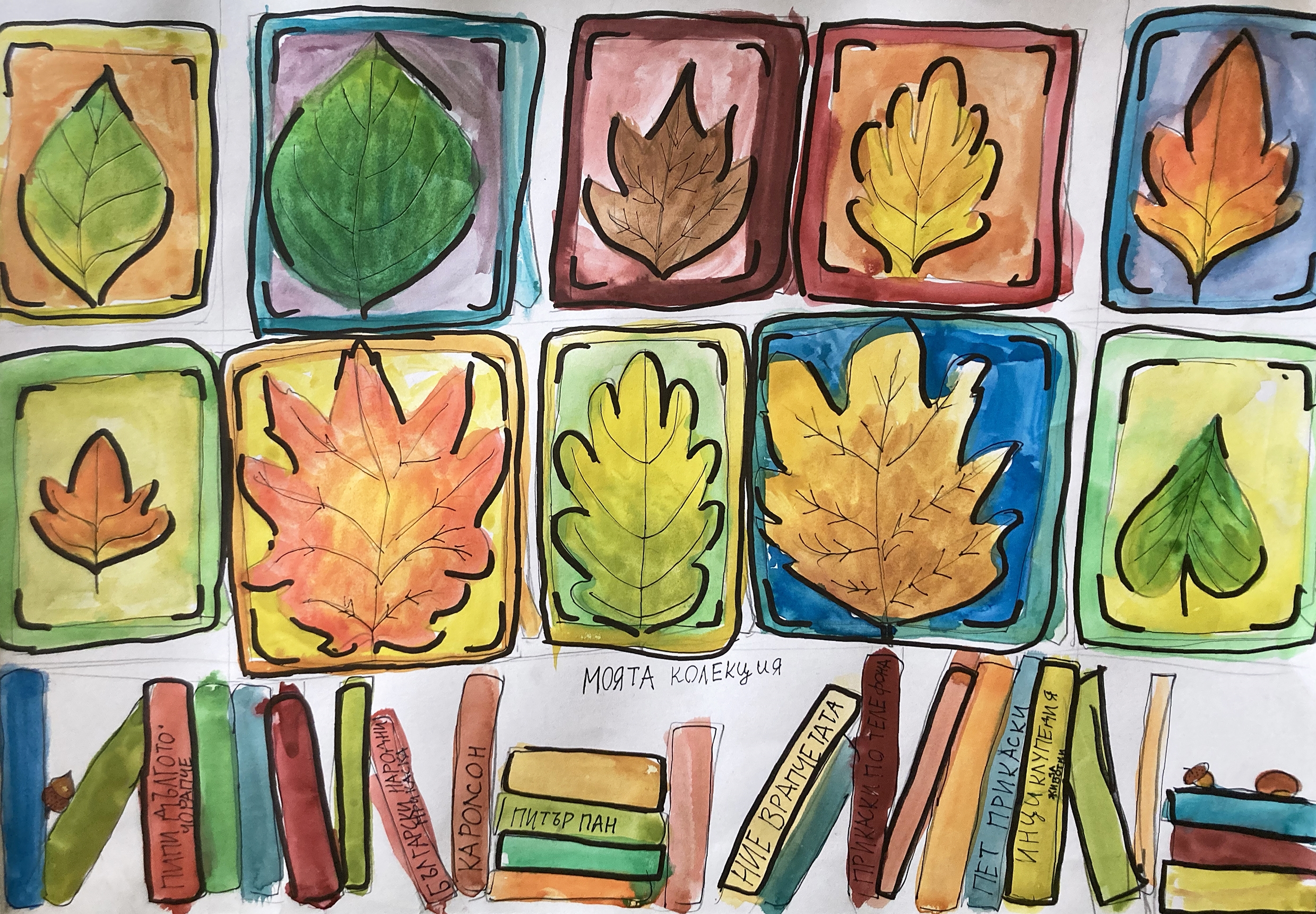 Моята колекция