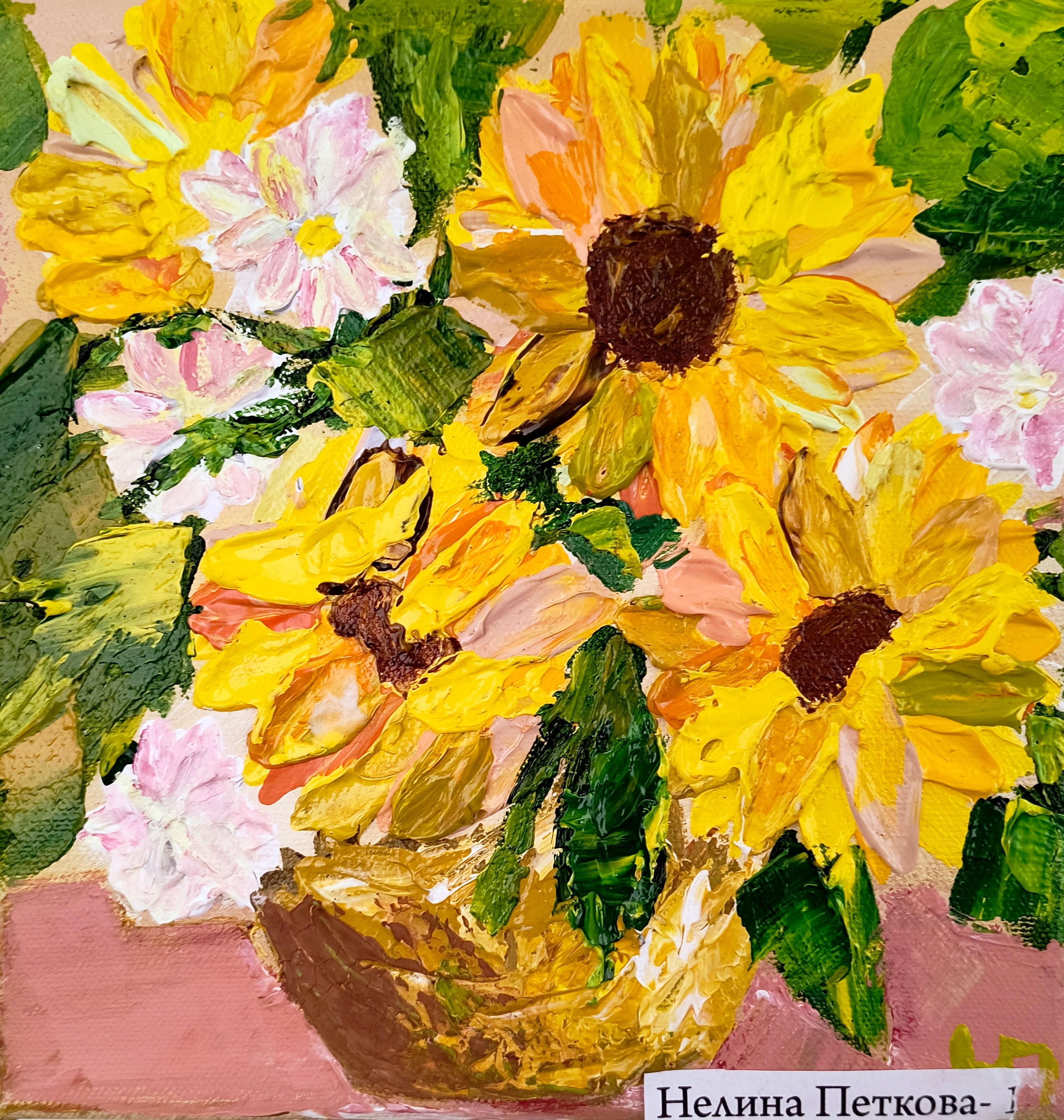 Нелина Петкова, 14 г.