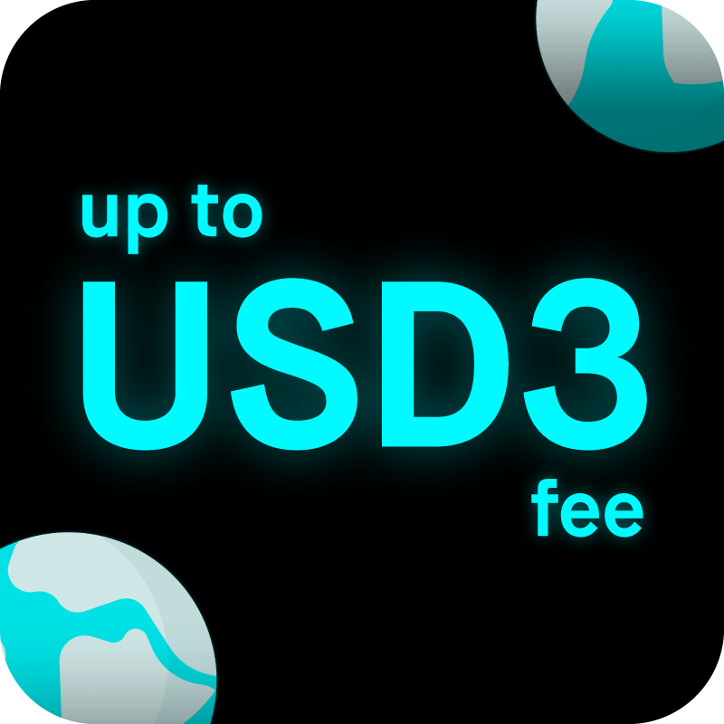 Send money abroad for only up to USD3 remit fee^