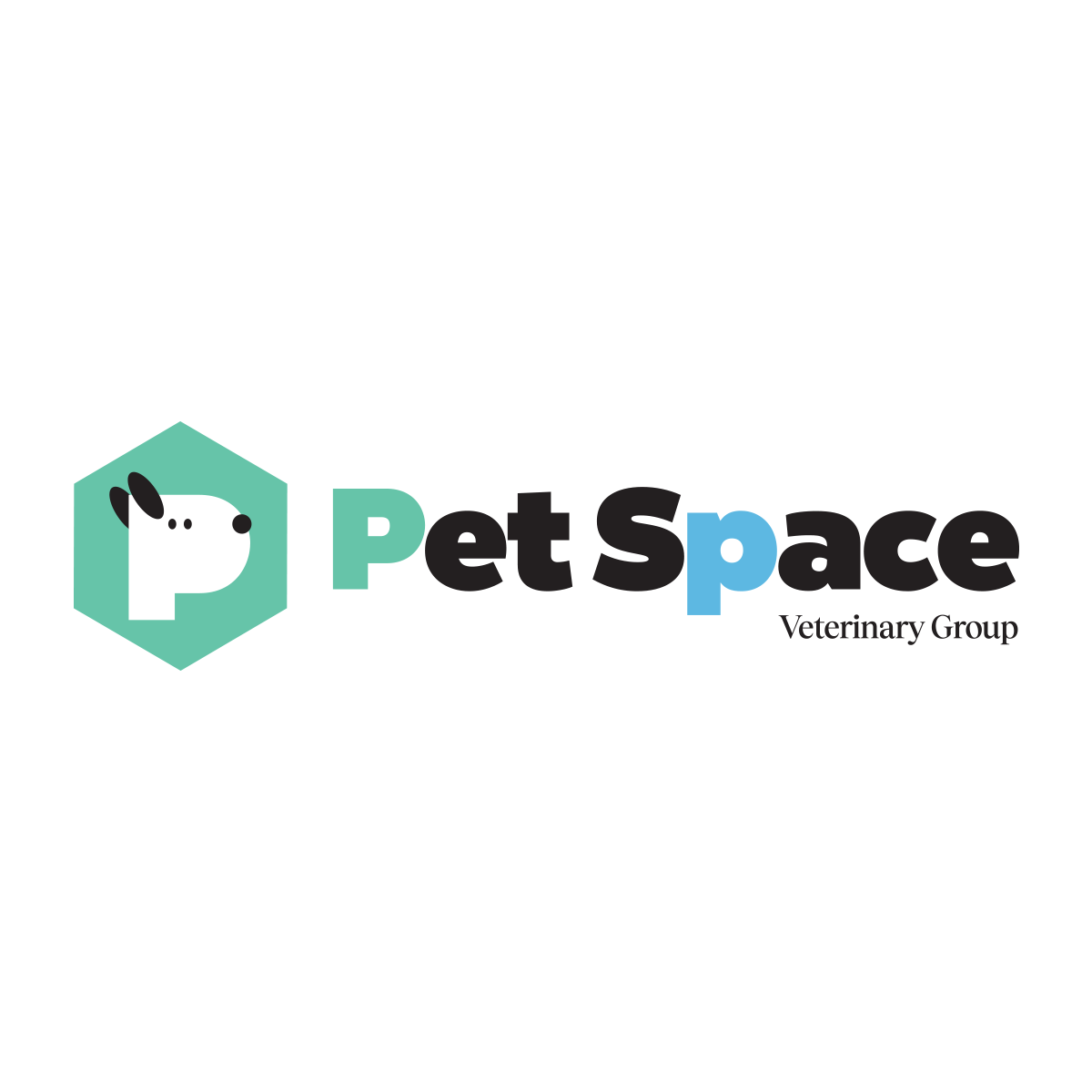 About Pet Space