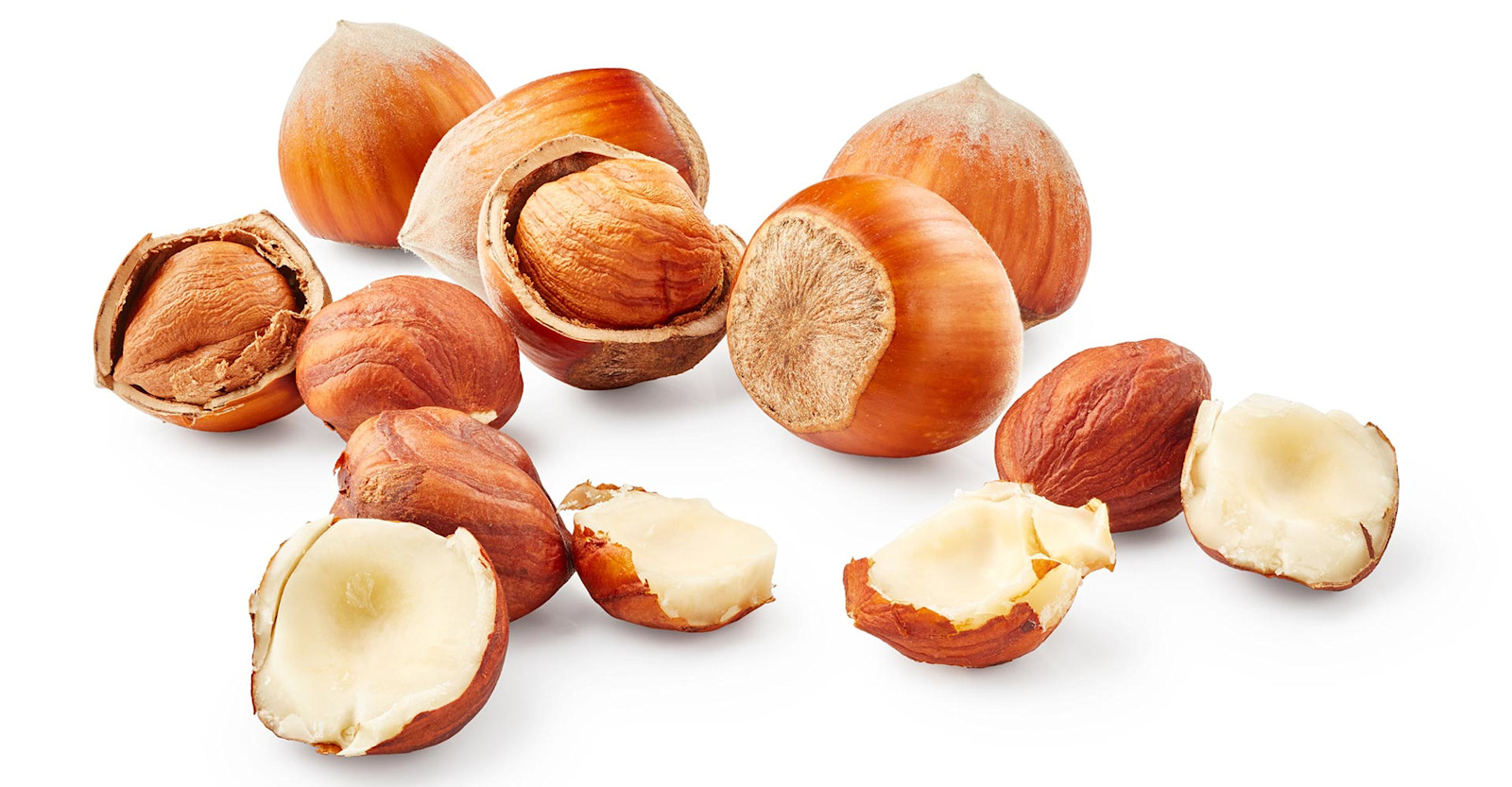 Go Nuts! Getting the Best Results Brewing With Hazelnuts Primary Image