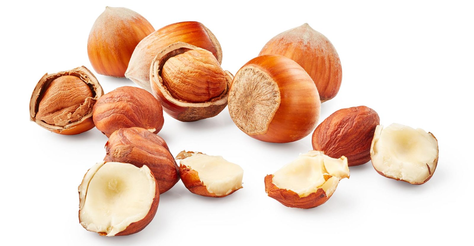 Go Nuts! Getting the Best Results Brewing With Hazelnuts | Craft Beer &  Brewing