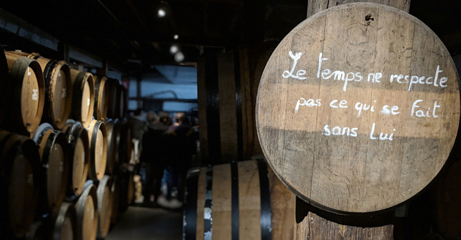 Brewer’s Perspective: A Life Beneath the Cobwebs Image