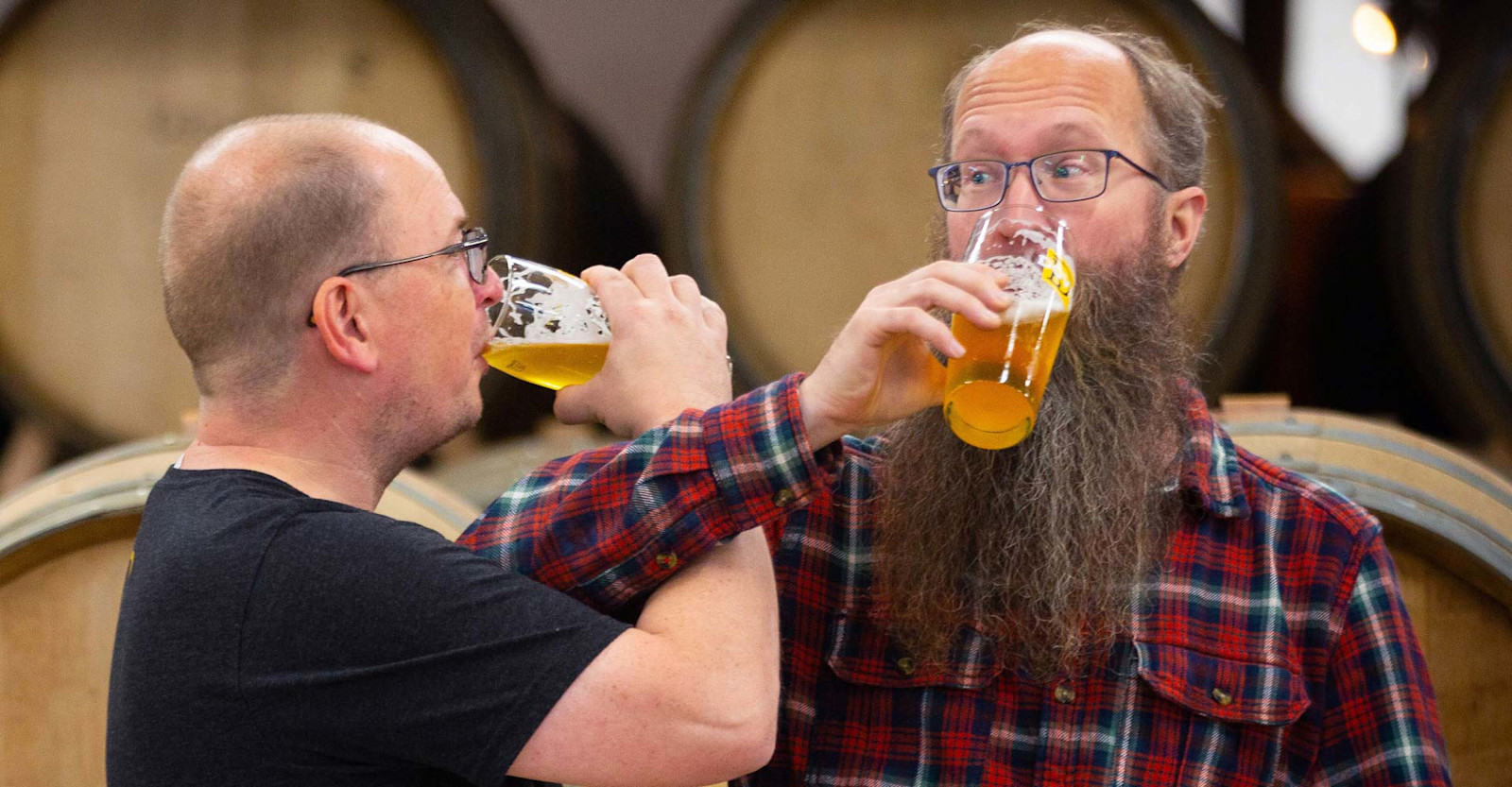 Recipe: Dovetail Helles Primary Image