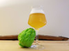 Hop or Artichoke? A Whole Lot of Confusion Image