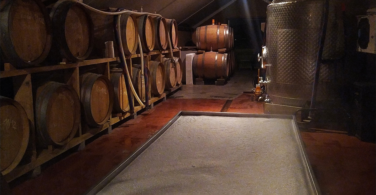 Capturing Indigenous Yeast Cultures with Antidoot Primary Image