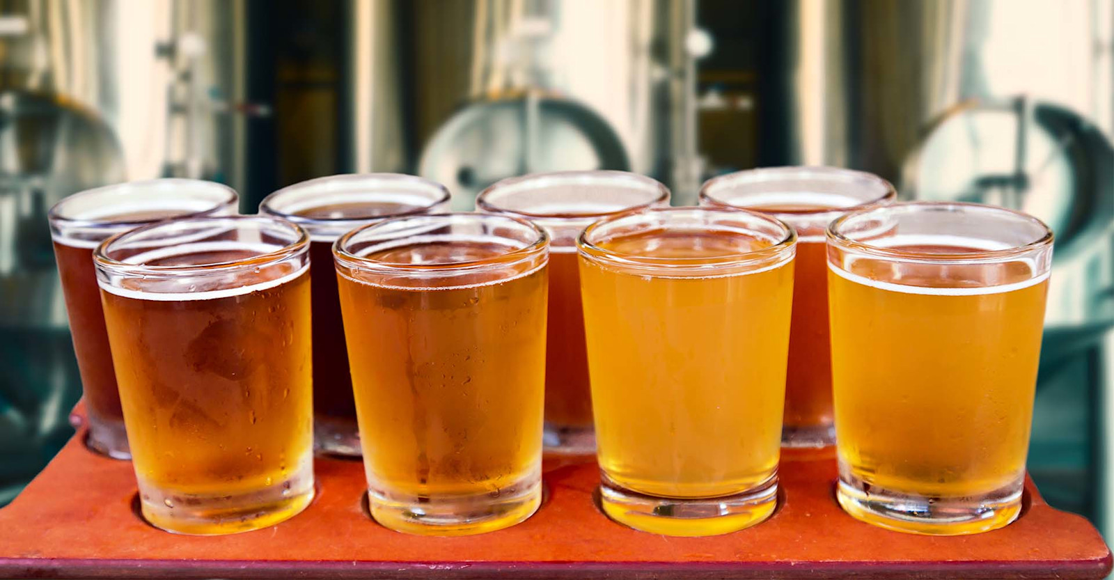 Experimental Experience Part 3: Suggested Experiments Primary Image